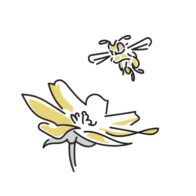 生物